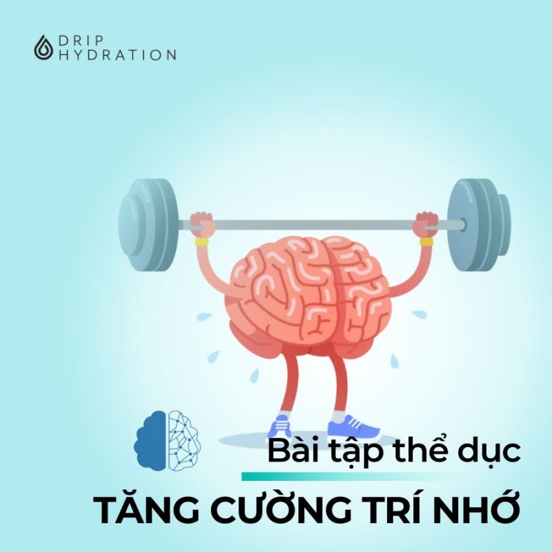 10 bài tập thể dục tăng cường trí nhớ
