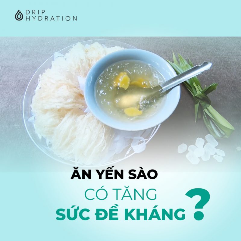 ăn yến có tăng sức đề kháng