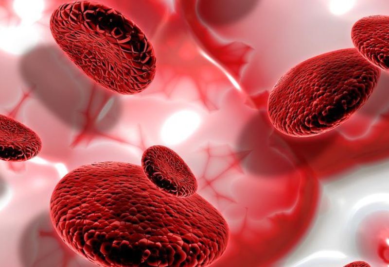 Thiếu máu bất sản