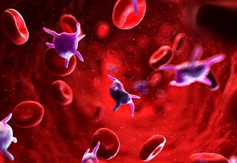 tiểu cầu tăng cao