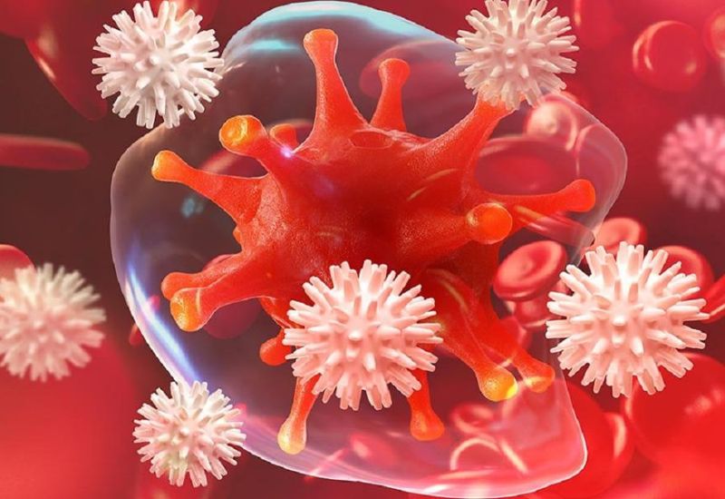 bạch cầu đơn nhân