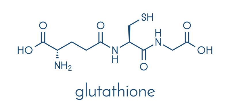 Glutathione là một chất chống oxy hóa được tạo thành từ các axit amin cysteine