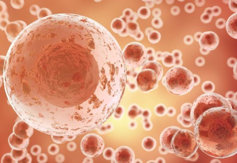 bảo vệ tế bào