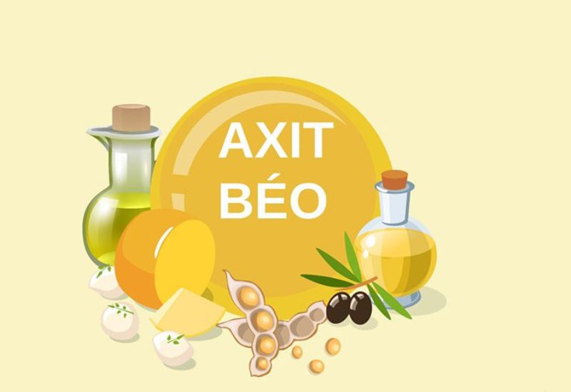 axit béo là gì