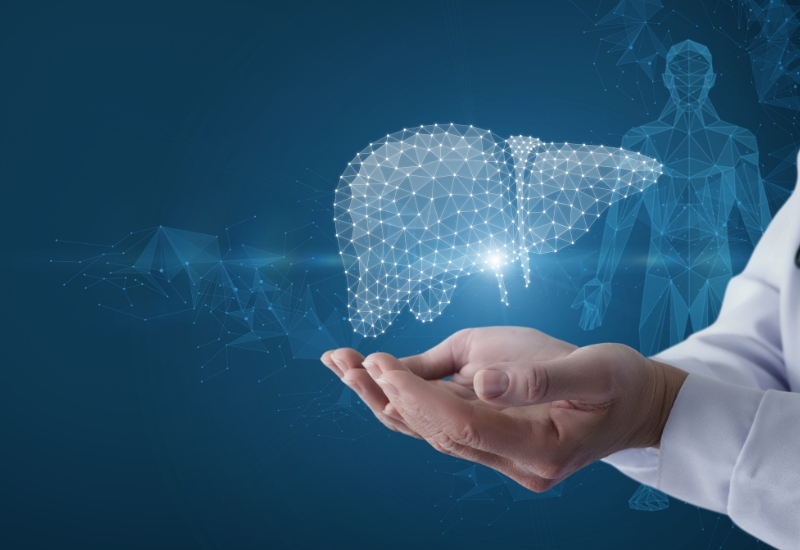 gan thải độc như thế nào