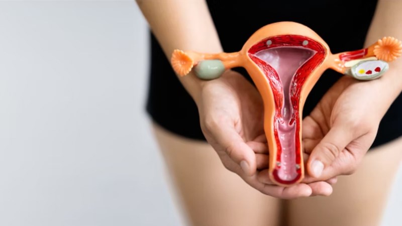 nấm candida âm đạo