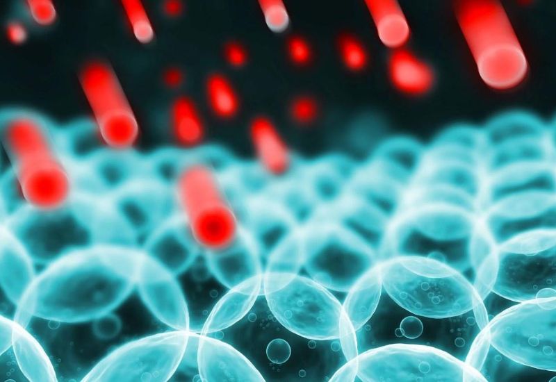 oxy hóa trong cơ thể là gì