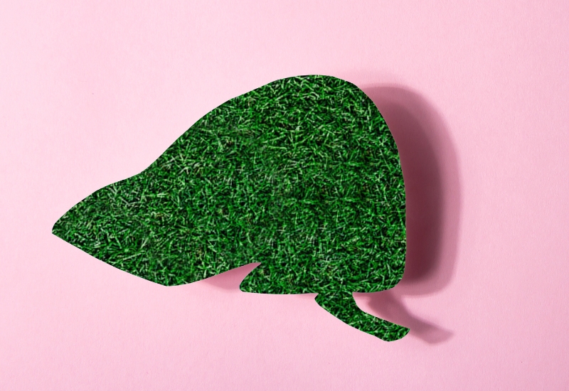 cách thải độc gan