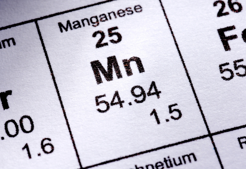 nhiễm độc mangan