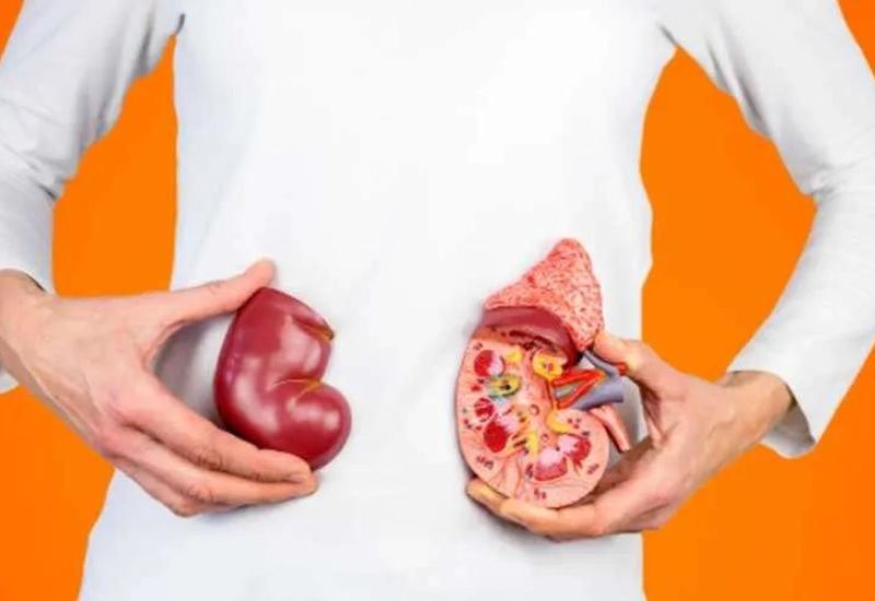 thải độc qua nước tiểu