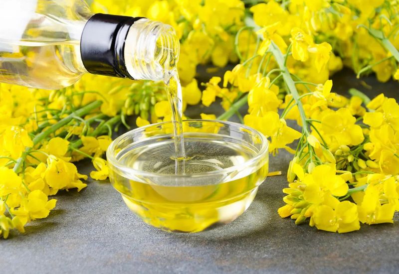 chất béo là nguồn cung cấp năng lượng đáng kể