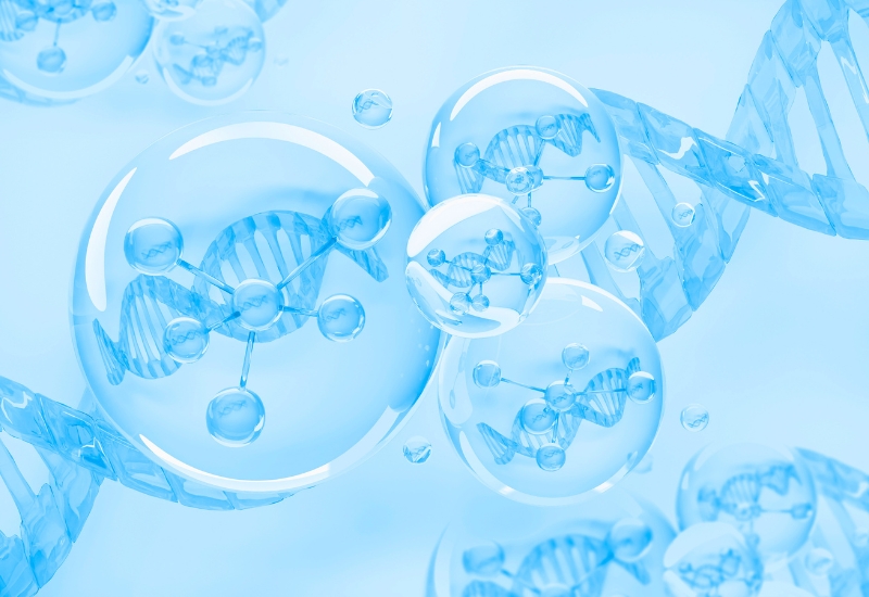 cung cấp năng lượng cho tế bào