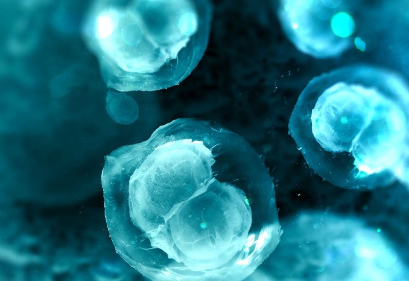 quá trình nào cung cấp năng lượng cho tế bào