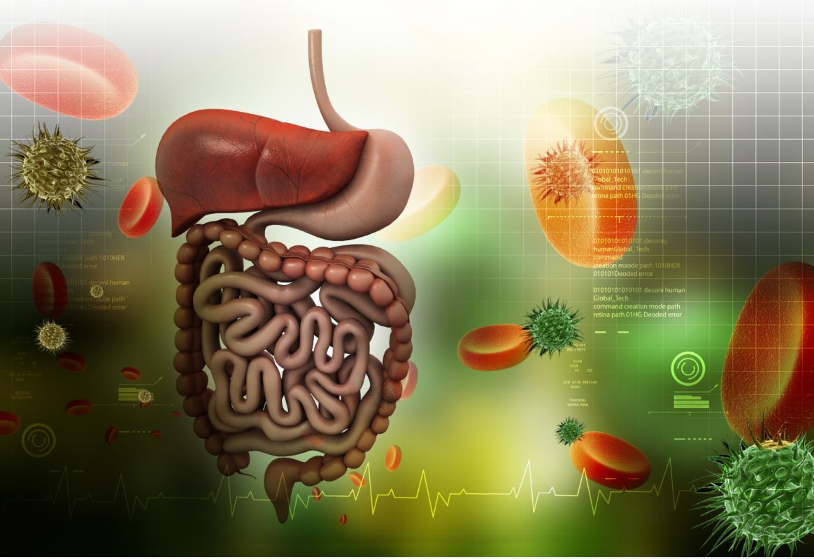 Đào thải độc tố, Giải độc cơ thể, Truyền thải độc, Thải độc hiệu quả, Ăn uống khoa học