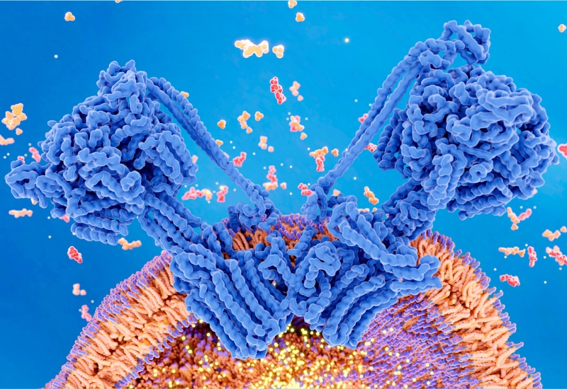 thiếu hụt năng lượng ATP