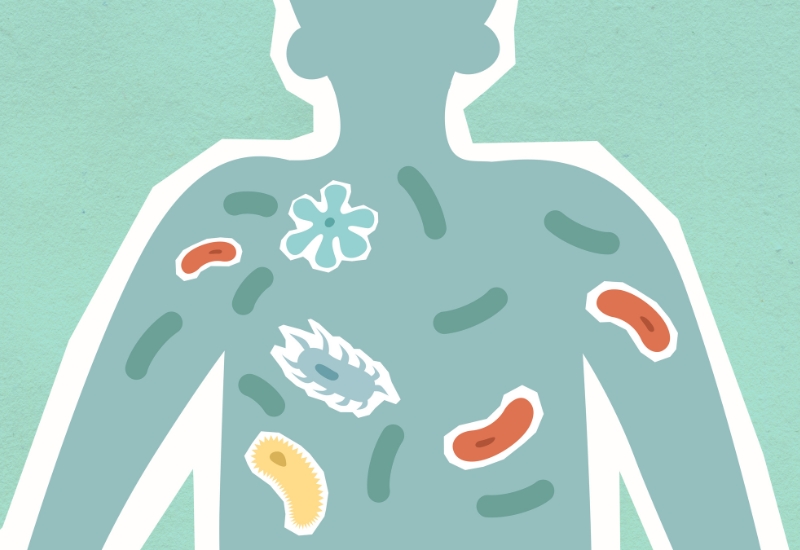 độc tố tích tụ trong cơ thể