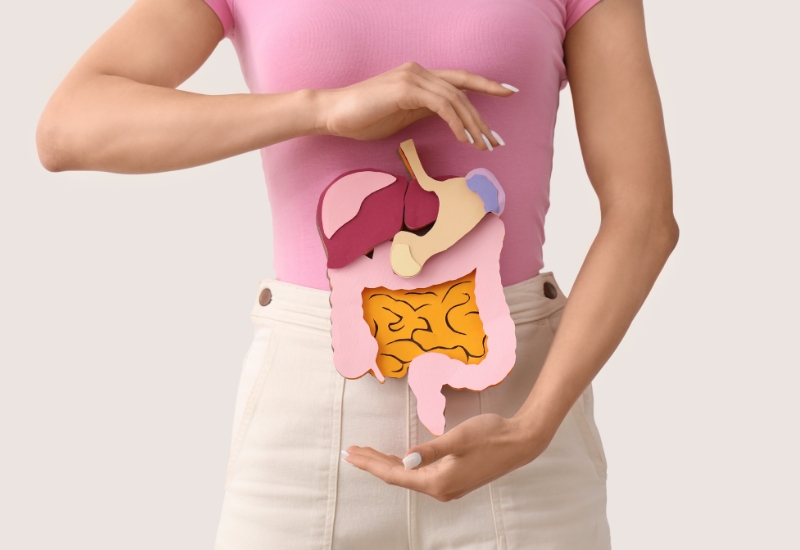 mỡ nội tạng level 4