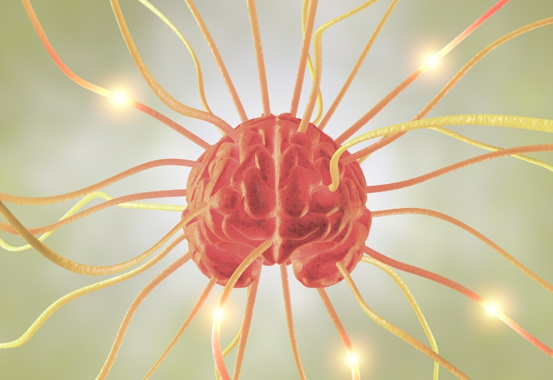 tăng chất dẫn truyền thần kinh