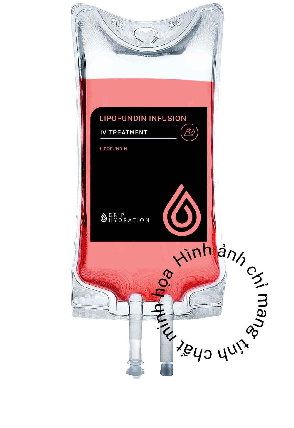 Gói truyền dinh dưỡng tĩnh mạch – Thành phần Lipofundin (Truyền bổ sung lipid LIPOFUNDIN INFUSION)