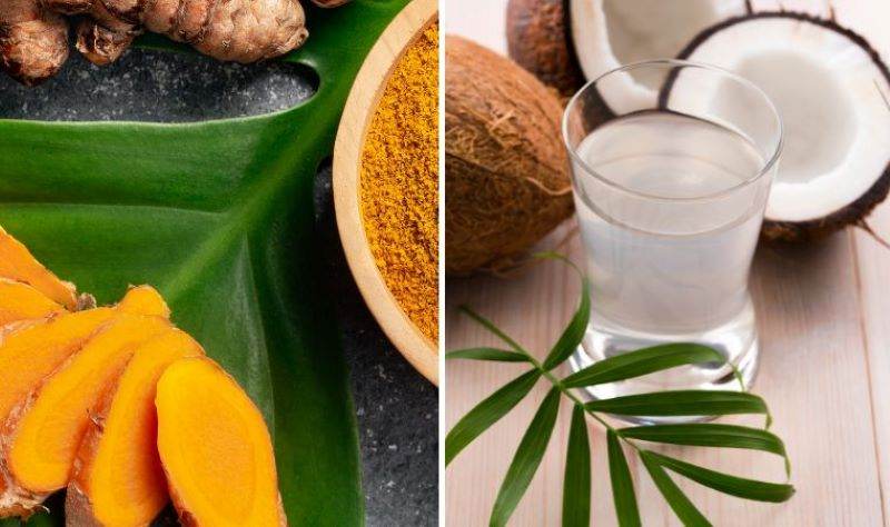 Cách uống nước dừa chữa đau dạ dày kết hợp nước dừa với các nguyên liệu tự nhiên