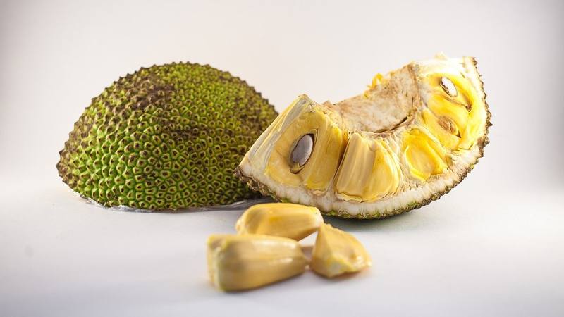 Đau dạ dày có ăn mít được không là câu hỏi thường gặp