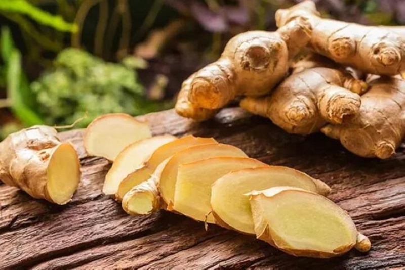 Gừng là một loại thảo mộc quen thuộc, thường được dùng trong ẩm thực và y học cổ truyền để làm ấm cơ thể, hỗ trợ tiêu hóa