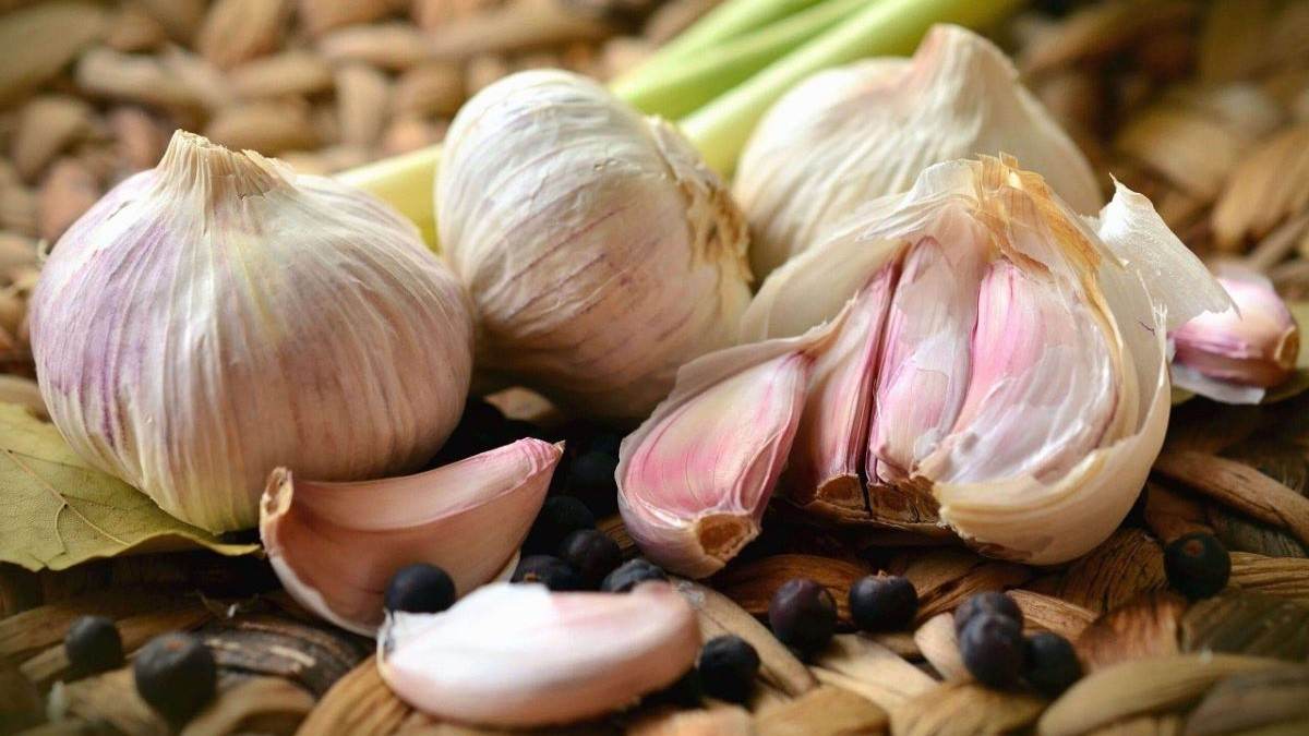 Trào ngược dạ dày ăn tỏi được không