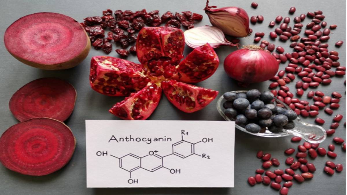 Anthocyanin: Bí quyết tăng cường sức khỏe từ thiên nhiên
