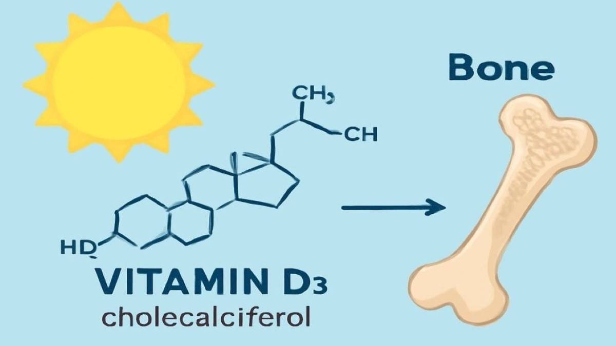 Cholecalciferol là gì