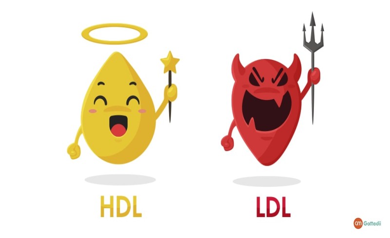 Cholesterol xấu có trong thực phẩm nào là băn khoăn của nhiều người (Ảnh: Sưu tầm Internet)