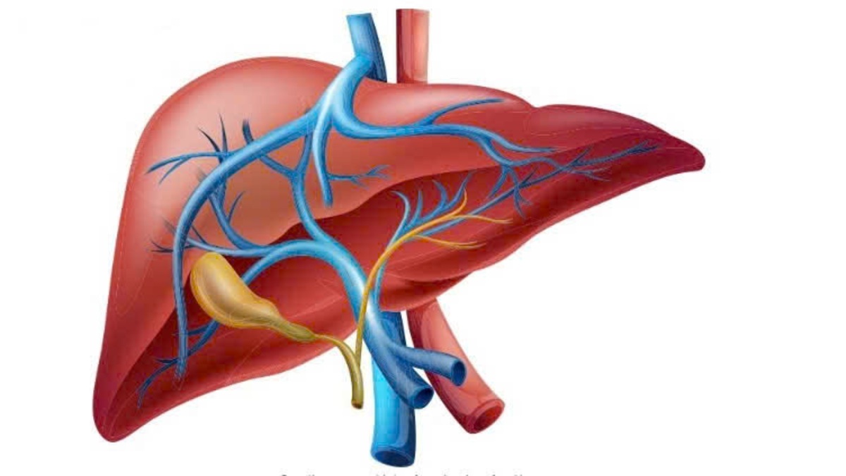Gan yếu nên ăn gì