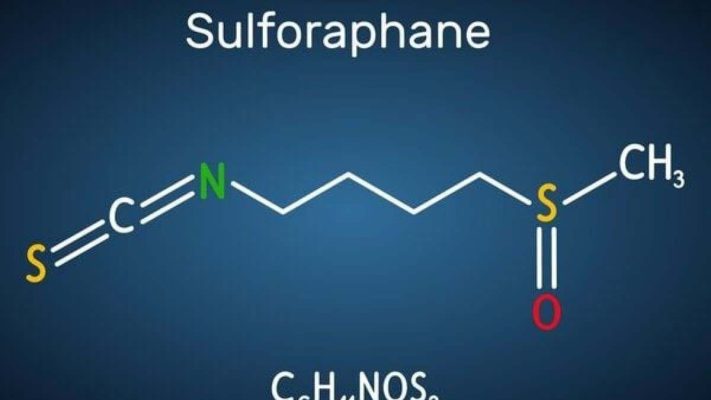 Hợp chất sulforaphane là gì