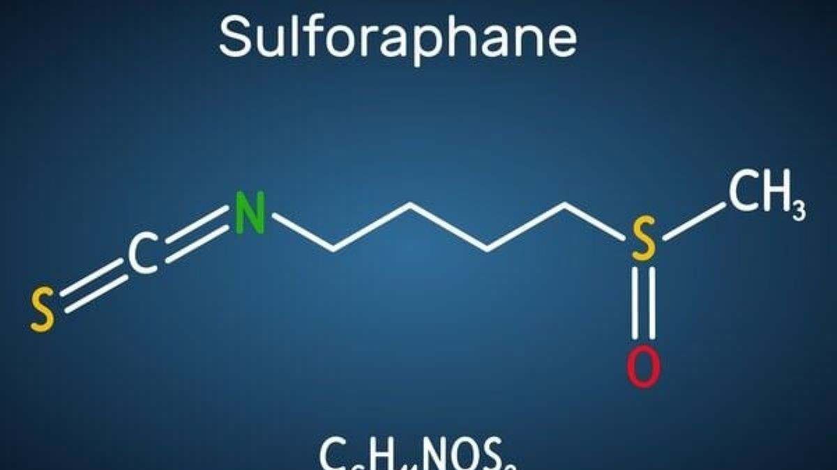 Hợp chất sulforaphane là gì