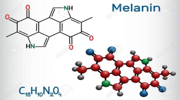 Sắc tố melanin là gì