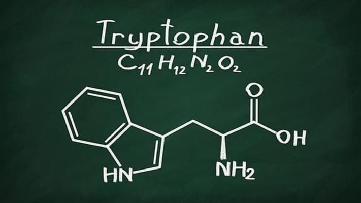 Tryptophan có tác dụng gì