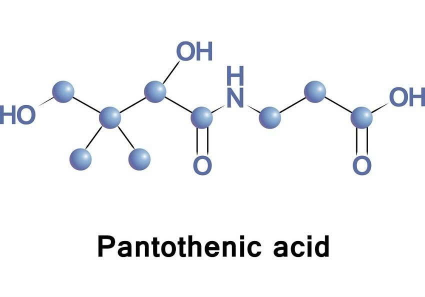 Acid pantothenic là gì là băn khoăn của nhiều người (Ảnh: Sưu tầm Internet)