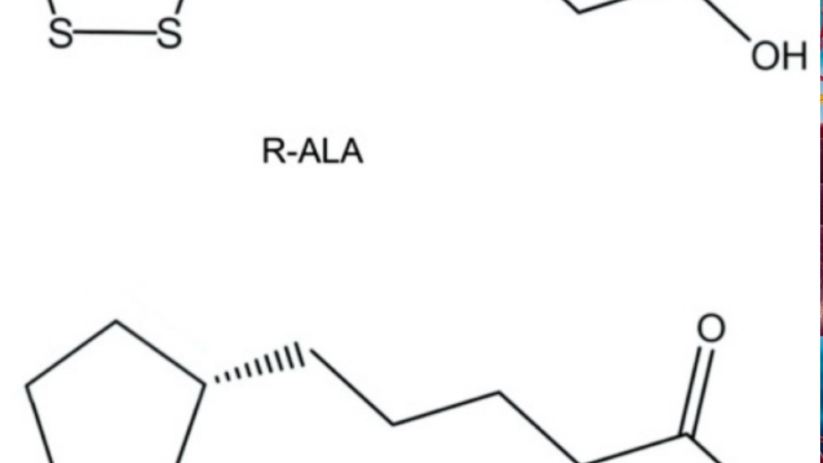 Alpha lipoic acid có tác dụng gì