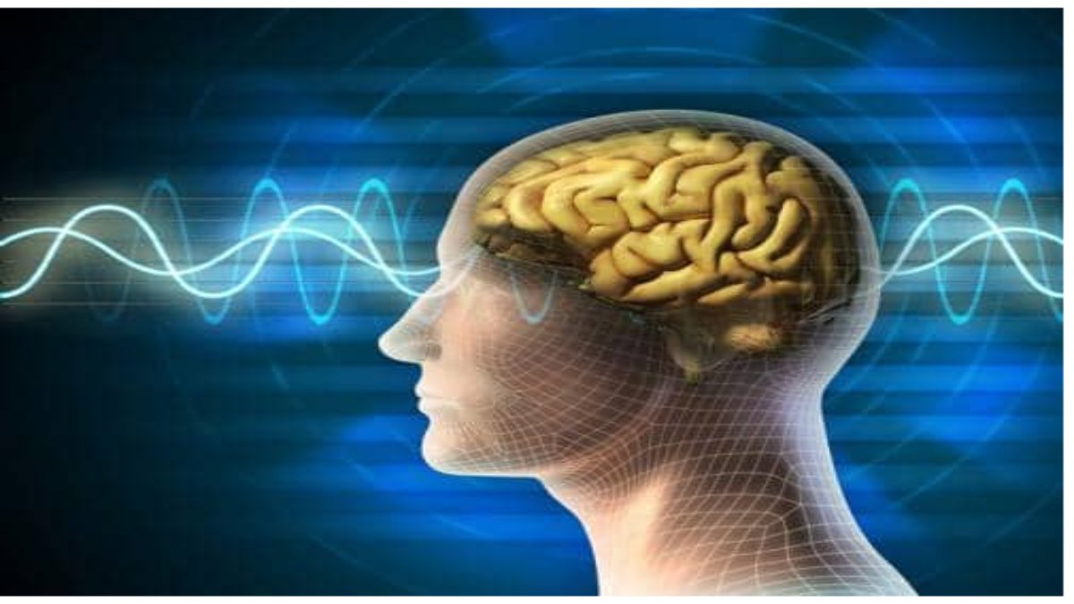 Bệnh thoái hóa não là gì? Cách phòng ngừa hiệu quả