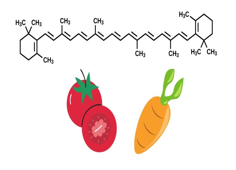 Beta carotene là chất gì là thắc mắc của nhiều người (Ảnh: Sưu tầm Internet)