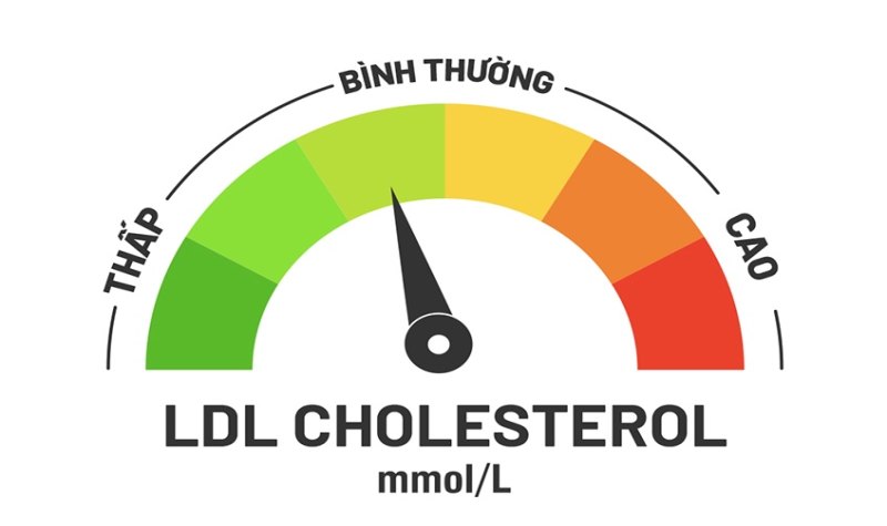 Nhiều người không biết chỉ số LDL Cholesterol là gì (Ảnh: Sưu tầm Internet)