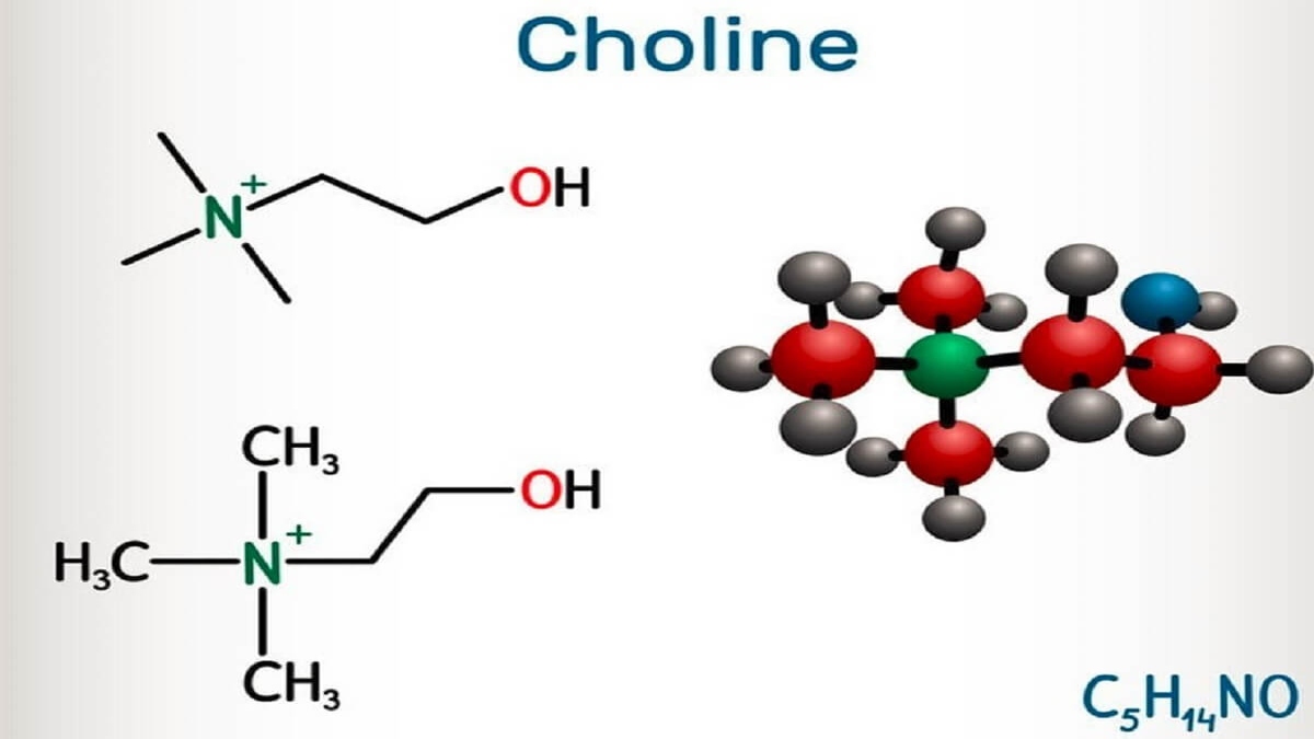 Choline có tác dụng gì