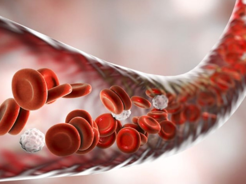 Chức năng nổi bật nhất của albumin là giữ áp lực thẩm thấu keo trong máu