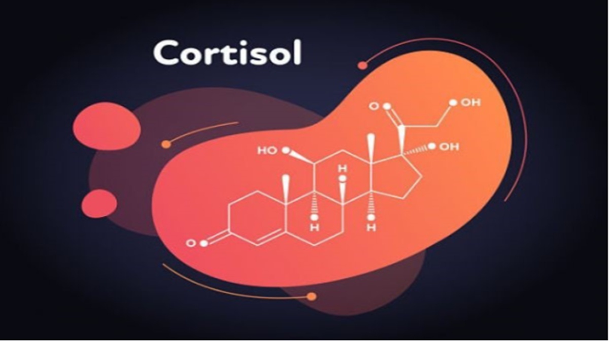 Cortisol là gì