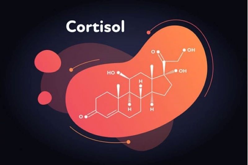 Nhiều người không biết cortisol là hormone gì (Ảnh: Sưu tầm Internet)