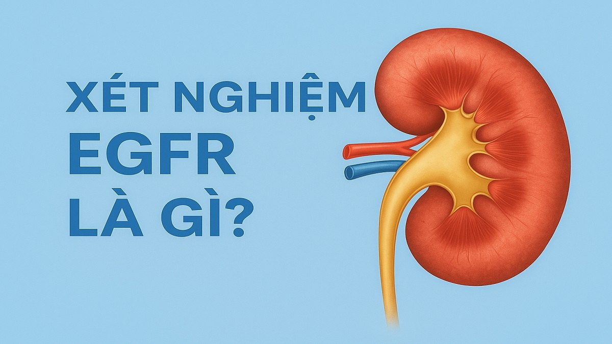 xét nghiệm egfr là gì
