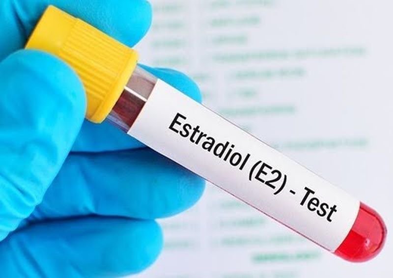 Biết Estradiol E2 là gì và kiểm tra định kỳ sẽ giúp phát hiện sớm các rối loạn hormone (Ảnh: Sưu tầm Internet)