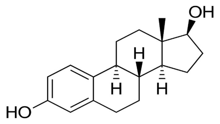 Estradiol E2 là gì?