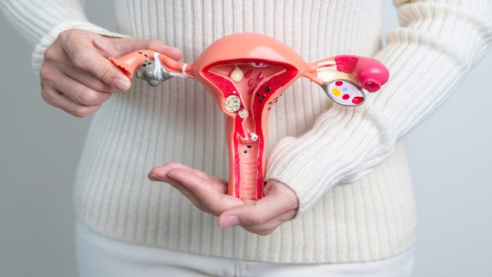 Oestradiol là gì? Chức năng của oestradiol trong cơ thể