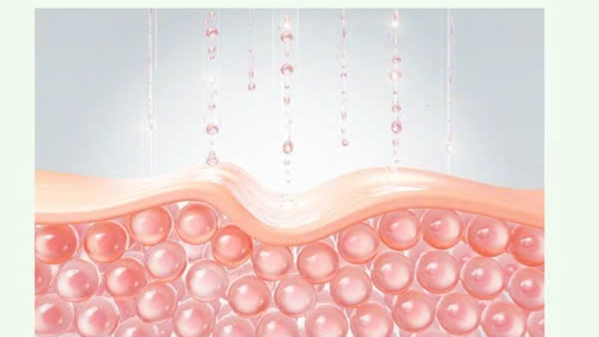 Hàng rào bảo vệ da: Lá chắn tự nhiên giúp da luôn khỏe mạnh