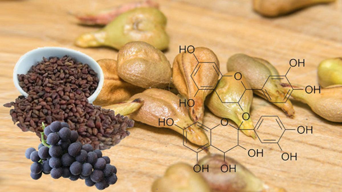 proanthocyanidin là gì